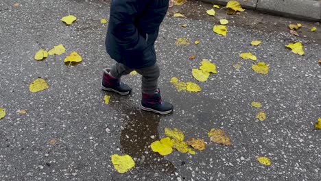 Little-boy-jumping-in-puddle-and-splashing-water-at-park