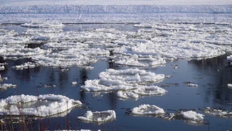 Frozen-river-with-ice-floes-static-shot-3