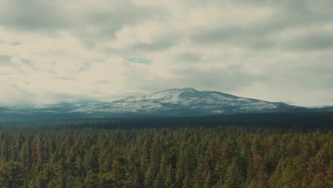 4k-Aerial-evergreen-forest-with-snowy-mountains-in-background