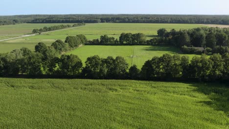 Green-fields-in-the-countryside,-surrounded-by-farmland-and-trees