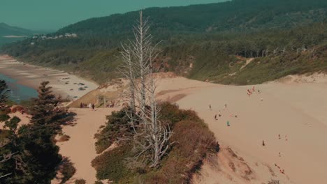 4k-Aerial-sand-dune-with-people-walking-on-it-and-beach-on-background