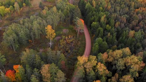 Beautiful-forest-in-autumn-nature_landskape_outdor_drone_droneshot_gold_wildforest_travellatvia