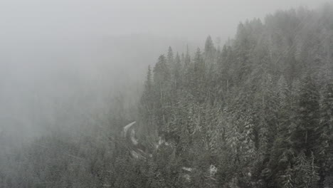 Aerial-shot-of-forest-and-windy-road-during-snowstorm