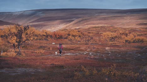 A-female-hiker-with-her-small-dog-companion,-walking-the-trail-in-the-Varanger-national-park-on-a-cold,-windy-autumn-day