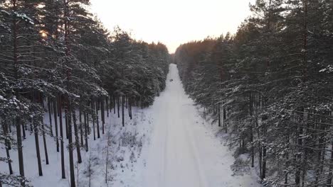 Verschneiter-Wald-Anfang-Dezember-_-Snow_tree_winter_coldwinter_beautifulwinter_droneshots