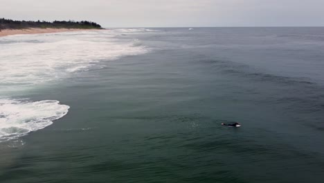 Drohnenaufnahme-Eines-Surfers,-Der-Im-Pazifischen-Ozean-Schwillt-Und-Wellt-Shelly-Beach-Central-Coast-Nsw-Australien-4k