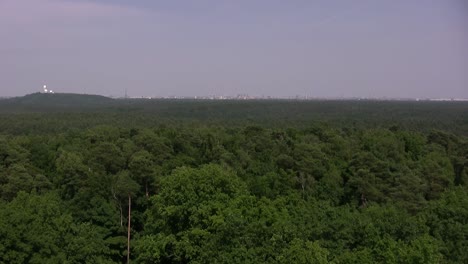 Berlin-Grunewald-with-Teufelsberg-and-Berlin-city-in-the-back,-Germany