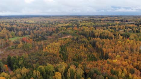 Día-Letón-De-Otoño-En-Medio-Del-Bosque-Nature_landskape_outdor_drone_dronshot_gold_wildforest_travellatvia