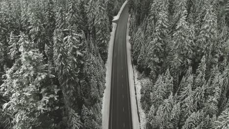 4k-Aerial-country-road-in-snowy-forest-Drone-overhead-+-dolly-out-shot