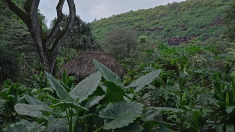 A-plan-shot-of-the-lush-green-vegetations-and-a-straw-hut