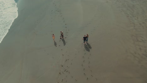 4k-Aerial-people-walking-and-playing-on-black-sand-beach
