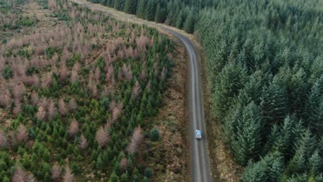 Drone-view-shows-car-races-up-empty-single-track-forest-road-at-high-speed