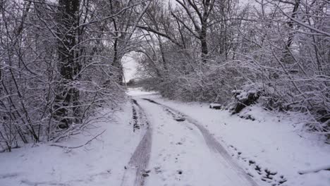 Blick-Auf-Die-Schönen-Bäume,-Die-Am-Wintermorgen-Mit-Schnee-Bedeckt-Sind
