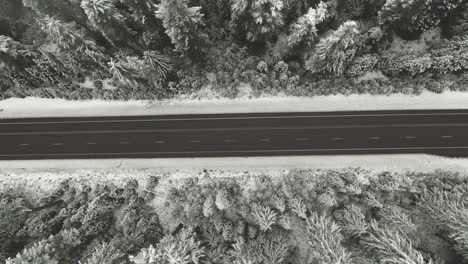 4k-Aerial-country-road-in-snowy-forest-during-winter-Drone-overhead-shot