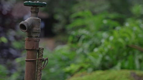 Water-faucet-for-watering-your-plants