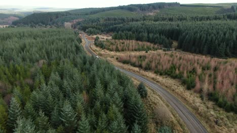 Drone-view-of-rally-car-racing-through-forest-stage-surrounded-by-tree's-and-open-land-in-Cumbria