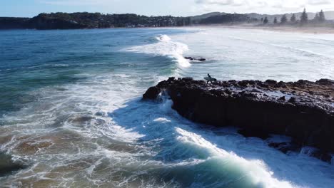 Luftdrohne-Landschaftsaufnahme-Eines-Surfers,-Der-Auf-Einer-Felsenklippe-Wartet,-Um-Zu-Springen-Und-Mit-Wellen-Zu-Surfen,-Die-North-Avoca-Central-Coast,-NSW,-Australien-4k-Tünchen