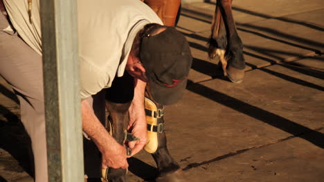 Man-applying-splint-boots-onto-horse
