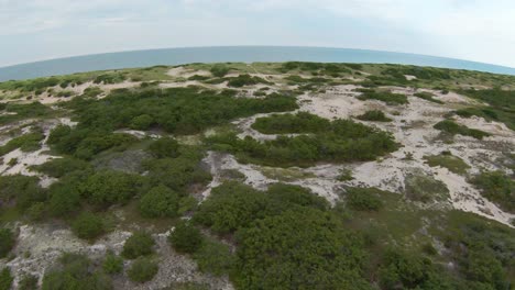 FPV-Drone-shot-of-the-amazing-landscape-with-foliage,-white-sand-dunes,-and-trails-leading-to-the-Atlantic-ocean-on-the-horizon