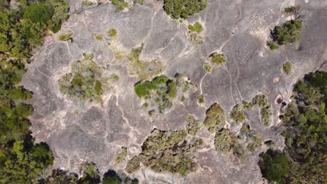 Bird's-eye-aerial-drone-view-of-Elephant-Rock-in-Bushland-Patonga-Beach-rock-formation-tourism-Central-Coast-NSW-Australia-4K