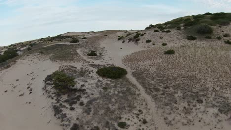 Close-up-fly-by-FPV-done-shot-of-the-desert-trails-with-green-foliage-and-soft-white-sand-dunes-and-high-peaks-in-the-Dune-Shacks-Trail-in-Provincetown,-Cape-Cod,-Massachusetts
