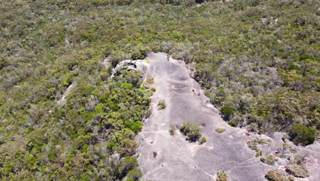 Aerial-drone-shot-of-Patonga-Beach-Elephant-Rock-formation-bushland-Brisbane-Water-National-Park-Central-Coast-NSW-Australia-4K