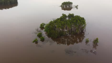 Drone-Aéreo-Escénico-Pan-Alrededor-De-Marisma-árboles-Isla-Naturaleza-Reflexión-Lagos-Tuggerah-La-Entrada-Costa-Central-Nsw-Australia-4k