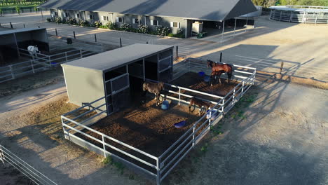 Stunning-aerial-of-horses-in-stables