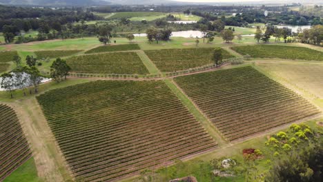 Aerial-inland-outback-landscape-shot-of-wine-vineyards-trees-gardens-farmland-Upper-Hunter-Valley-Pokolbin-NSW-Australia-4K