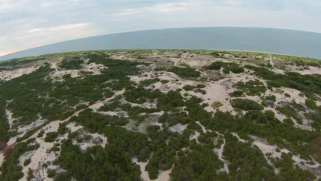 An-aerial-top-down-shot-of-desert-landscape-with-bushy-green-foliage,-white-soft-sand-dunes,-and-trails-leading-to-the-Atlantic-Ocean
