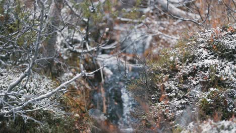 The-Light-first-snow-covers-the-stones-bushes-and-withered-grass-on-the-banks-of-the-small-creek