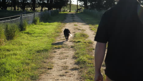 Man-walking-with-happy-dog-on-farm