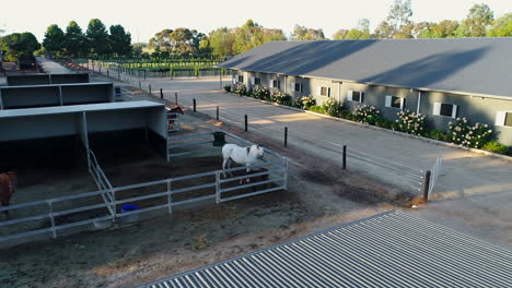 Flyover-of-stunning-horse-farm