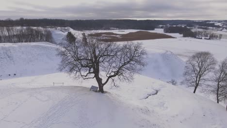Old-tree-on-a-snowy-hill-fort-in-winter-1