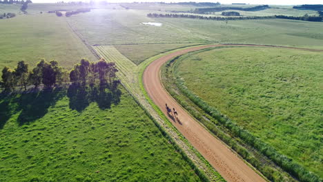 Aerial-follow-of-harness-racing-horse-on-track