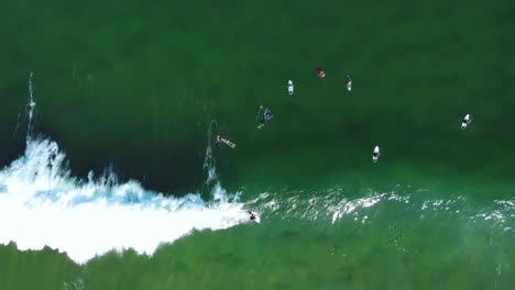 Aerial-drone-landscape-view-of-surfer-riding-waves-crystal-clear-water-waves-sandbank-coastline-Avoca-Terrigal-NSW-Australia-4K