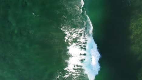 Aerial-drone-bird's-eye-shot-in-paradise-surfer-duck-dive-wave-on-crystal-clear-sandbank-with-wave-Wamberal-Central-Coast-NSW-Australia