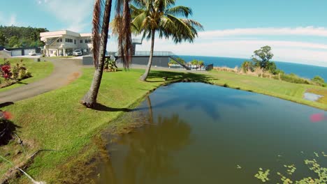 Fast-moving-FPV-drone-shot-of-a-walkway-path-on-a-lush-green-park-with-dense-foliage-and-a-clear-sky-with-the-Pacific-ocean-in-the-background