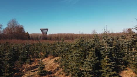 Drone-raising-up-in-the-forest-cover-area-of-tree-top-experience-in-Denmark