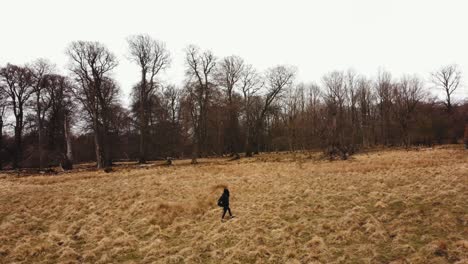 Una-Mujer-Caminando-En-Dyrehaven--Deer-Park-Copenhague