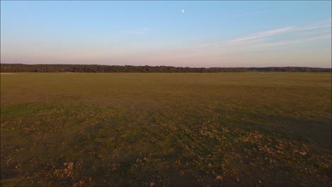Drone-flying-towards-trees-on-the-hungarian-big-plain-with-the-half-moon-in-the-frame