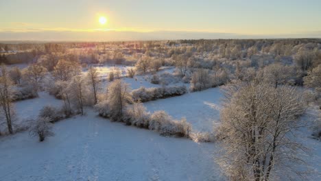 Aerial-view-out-over-beautiful-big-fields-with-lots-of-trees-in-a-snowy-landscape-on-a-sunny-day-in-Karlskrona,-south-of-Sweden-1