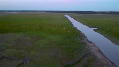 Drone-flying-over-in-the-hungarian-lowland,-over-a-river-with-a-horde-of-birds-in-the-frame