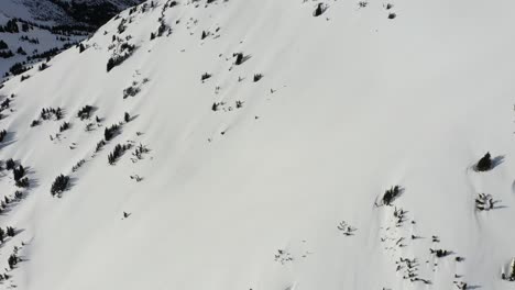 Skier-racing-down-the-mountain-in-the-backcountry-of-British-Columbia,-Canada