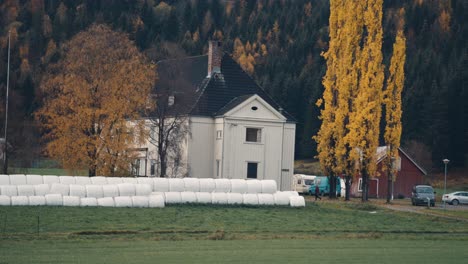Ein-Bauernhof-Im-Ländlichen-Norwegen