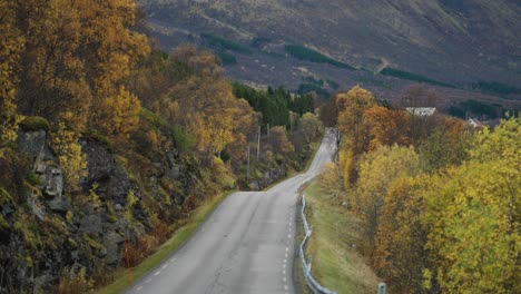 A-narrow-road-follows-the-fjord-coastline