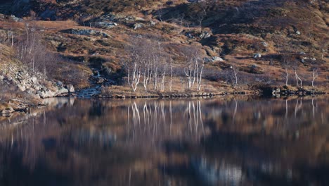 The-still-mirrorlike-surface-of-the-lake-reflects-the-bleak-tundra-landscape