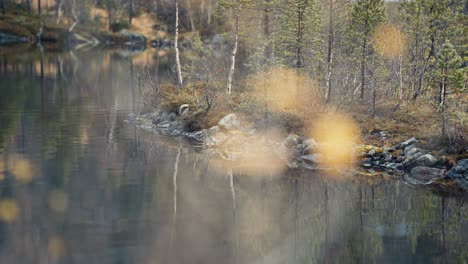 Rocky-bank-and-trees-are-reflected-in-the-mirrorlike-still-waters-of-the-lake