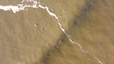 Drohne-Aus-Der-Vogelperspektive-Auf-Meeresschwellenlinien-Mit-Surfern,-Die-In-Einer-Reihe-Warten-Schaumwellen-Küste-Sturmwasser-Zentralküste-NSW-Australien-4k
