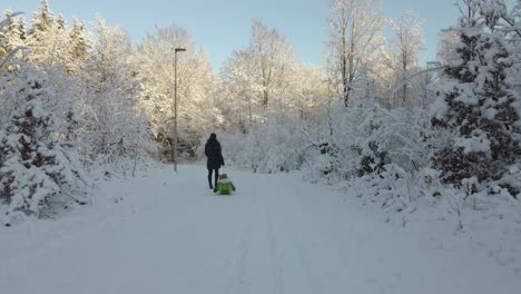 Woman-pulling-a-toddler-in-a-sled-through-a-beautiful-snowy-winter-landscape-in-Karlskrona,-south-of-Sweden